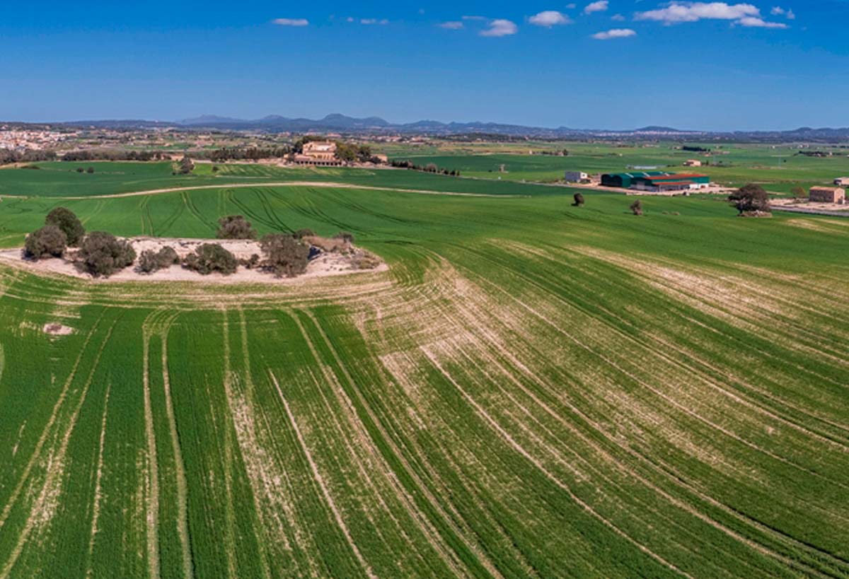 Cerramiento y reconstrucción de finca de 10 hectáreas en Mallorca