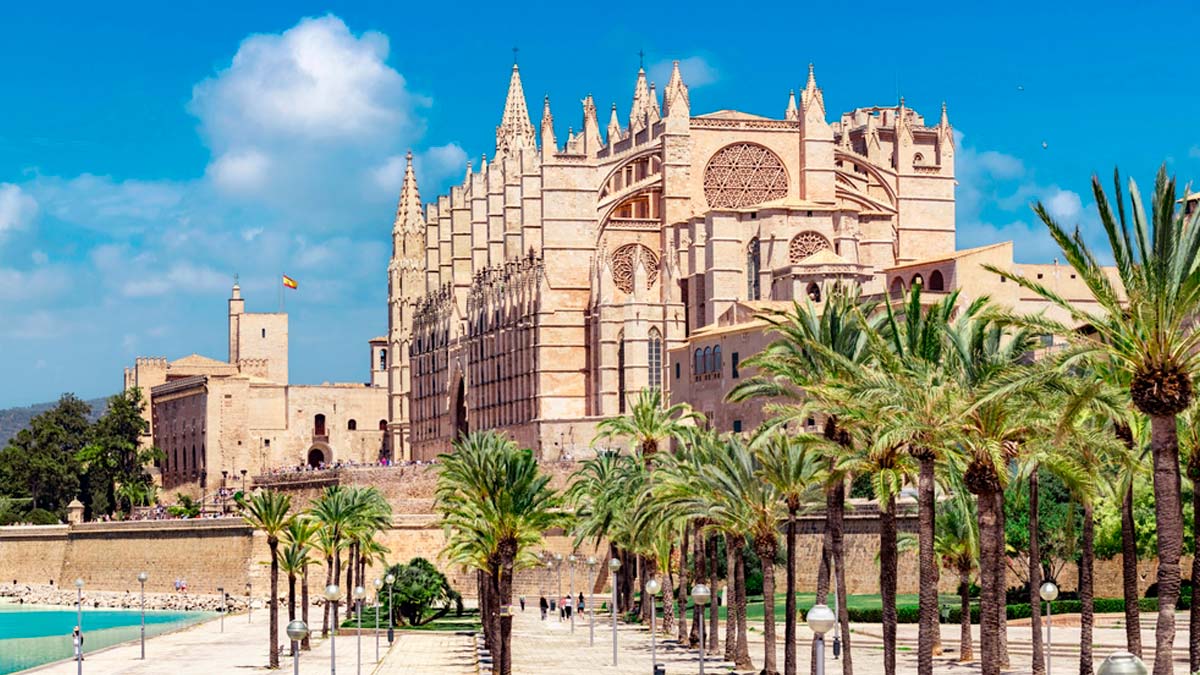 Experiencia en gestión de proyectos en Mallorca